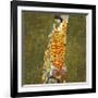 Hope II, 1907-1908-Gustav Klimt-Framed Premium Giclee Print