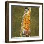 Hope II, 1907-1908-Gustav Klimt-Framed Art Print