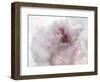 Hope in Pink I-Gillian Hunt-Framed Photographic Print