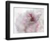 Hope in Pink I-Gillian Hunt-Framed Photographic Print