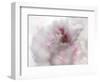 Hope in Pink I-Gillian Hunt-Framed Photographic Print