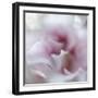 Hope in Pink III-Gillian Hunt-Framed Photographic Print