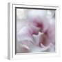 Hope in Pink III-Gillian Hunt-Framed Photographic Print