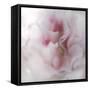 Hope in Pink IV-Gillian Hunt-Framed Stretched Canvas