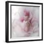 Hope in Pink IV-Gillian Hunt-Framed Photographic Print