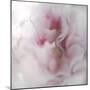 Hope in Pink IV-Gillian Hunt-Mounted Photographic Print