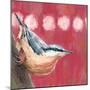 Hope Nuthatch-Molly Reeves-Mounted Photographic Print