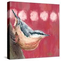 Hope Nuthatch-Molly Reeves-Stretched Canvas