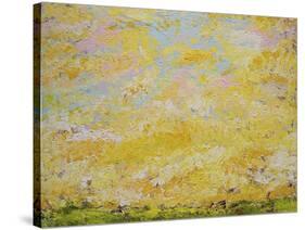 Hope & Promise-Allan Friedlander-Stretched Canvas