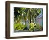 Hope Town, 200 Year Old Settlement on Elbow Cay, Abaco Islands, Bahamas, Caribbean, West Indies-Nedra Westwater-Framed Photographic Print