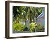 Hope Town, 200 Year Old Settlement on Elbow Cay, Abaco Islands, Bahamas, Caribbean, West Indies-Nedra Westwater-Framed Photographic Print