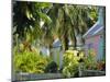Hope Town, 200 Year Old Settlement on Elbow Cay, Abaco Islands, Bahamas, Caribbean, West Indies-Nedra Westwater-Mounted Photographic Print