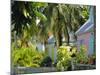 Hope Town, 200 Year Old Settlement on Elbow Cay, Abaco Islands, Bahamas, Caribbean, West Indies-Nedra Westwater-Mounted Photographic Print