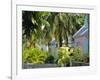 Hope Town, 200 Year Old Settlement on Elbow Cay, Abaco Islands, Bahamas, Caribbean, West Indies-Nedra Westwater-Framed Photographic Print