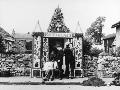 Just the Print