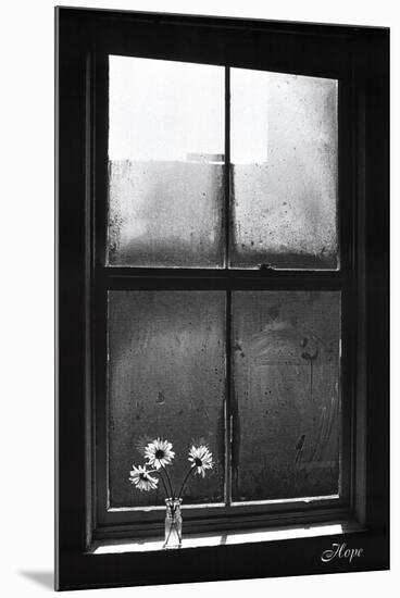 Hope (Window with Flowers)-null-Mounted Poster