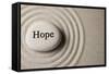 Hope-og-vision-Framed Stretched Canvas