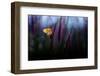 Hope-Erwin Astro-Framed Photographic Print