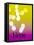 HOPE-Ricki Mountain-Framed Stretched Canvas