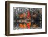 Hope-Marco Carmassi-Framed Photographic Print