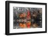 Hope-Marco Carmassi-Framed Photographic Print