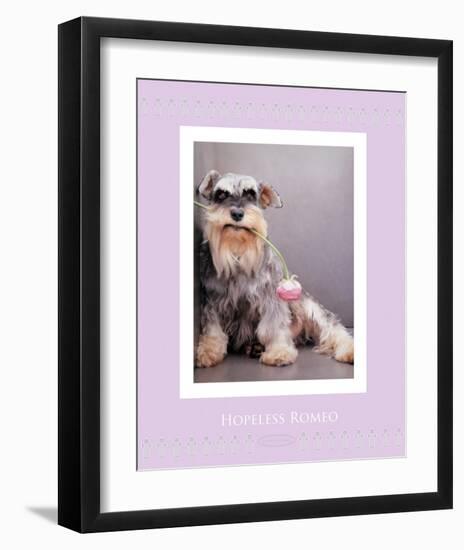 Hopeless Romeo-Rachael Hale-Framed Premium Giclee Print