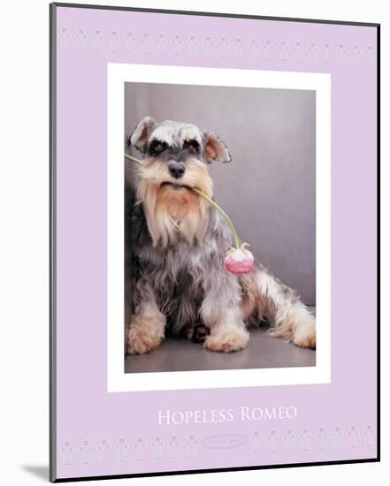 Hopeless Romeo-Rachael Hale-Mounted Premium Giclee Print