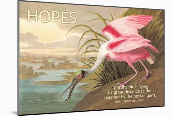 Hopes Are Shy Birds-John James Audubon-Mounted Art Print