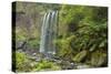 Hopetoun Falls Beautiful and Picturesque Waterfall-null-Stretched Canvas