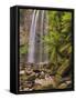 Hopetoun Falls, Great Otway National Park, Victoria, Australia, Pacific-Jochen Schlenker-Framed Stretched Canvas