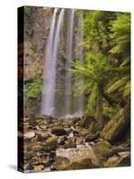 Hopetoun Falls, Great Otway National Park, Victoria, Australia, Pacific-Jochen Schlenker-Stretched Canvas