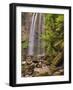 Hopetoun Falls, Great Otway National Park, Victoria, Australia, Pacific-Jochen Schlenker-Framed Photographic Print