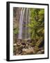 Hopetoun Falls, Great Otway National Park, Victoria, Australia, Pacific-Jochen Schlenker-Framed Photographic Print