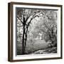 Hopewell Shores Square I-Alan Hausenflock-Framed Photographic Print