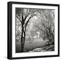 Hopewell Shores Square I-Alan Hausenflock-Framed Photographic Print