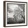 Hopewell Shores Square II-Alan Hausenflock-Framed Photographic Print