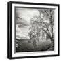 Hopewell Shores Square II-Alan Hausenflock-Framed Photographic Print