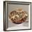 Hopi 'Bullware' Jar, from Arizona (Ceramic)-American-Framed Giclee Print