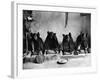 Hopi Grinding Grain, C1906-Edward S^ Curtis-Framed Photographic Print