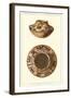 Hopi Pot with Birds from Sikyatki-null-Framed Art Print