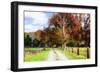 Hopkins Farm-Alan Hausenflock-Framed Photographic Print