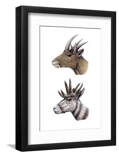 Photographic Print, , large