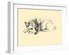 Hoppy (Welsh Corgi)-Lucy Dawson-Framed Art Print