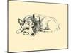 Hoppy (Welsh Corgi)-Lucy Dawson-Mounted Art Print