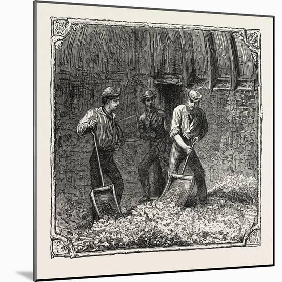 Hops and Hop Pickers, in a Kentish Hop Garden, Kent, England, Turning Hops in the Kiln, 1876, Uk-null-Mounted Giclee Print