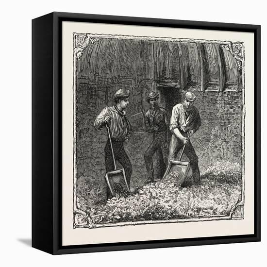 Hops and Hop Pickers, in a Kentish Hop Garden, Kent, England, Turning Hops in the Kiln, 1876, Uk-null-Framed Stretched Canvas