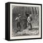 Hops and Hop Pickers, in a Kentish Hop Garden, Kent, England, Turning Hops in the Kiln, 1876, Uk-null-Framed Stretched Canvas