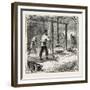 Hops and Hop Pickers-null-Framed Giclee Print