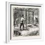 Hops and Hop Pickers-null-Framed Giclee Print