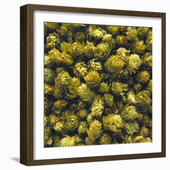 Hops (Filling the Picture)-Herbert Lehmann-Framed Photographic Print